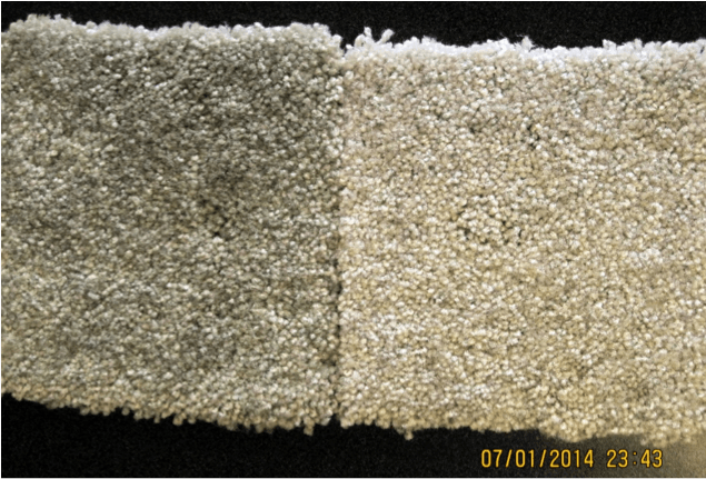 Coleman-Carpet UV SunBlock Experiment